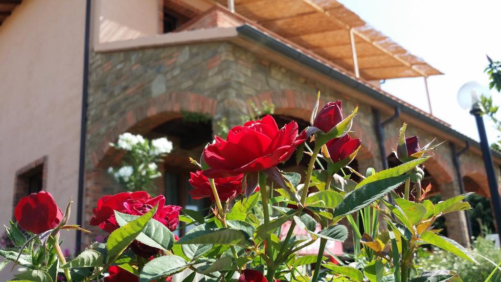 Agriturismo La Nocciolina Venturina Terme Extérieur photo