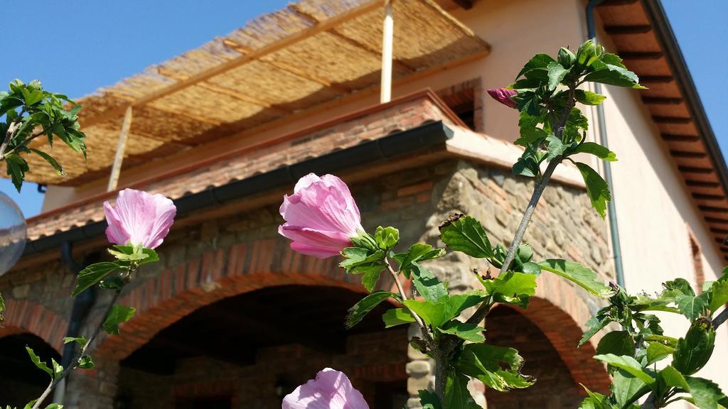 Agriturismo La Nocciolina Venturina Terme Extérieur photo