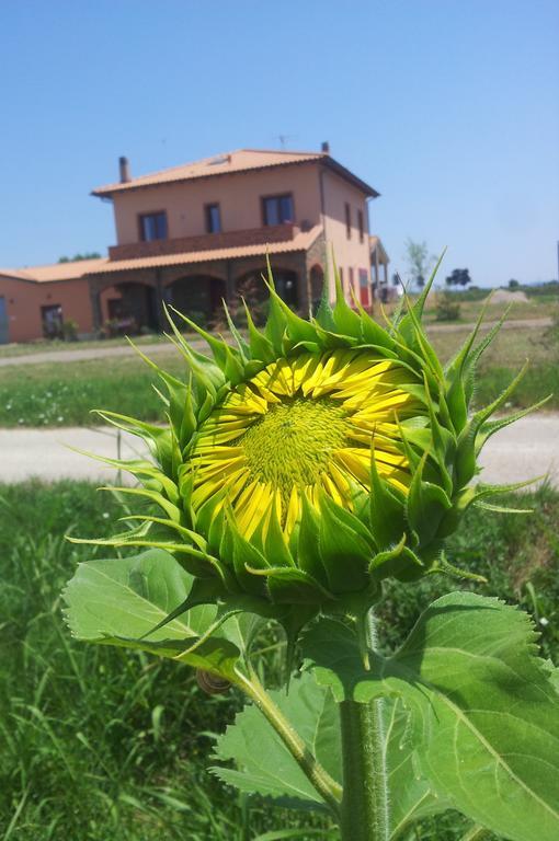Agriturismo La Nocciolina Venturina Terme Extérieur photo