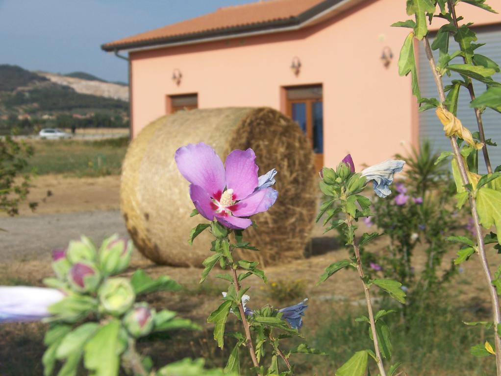 Agriturismo La Nocciolina Venturina Terme Extérieur photo
