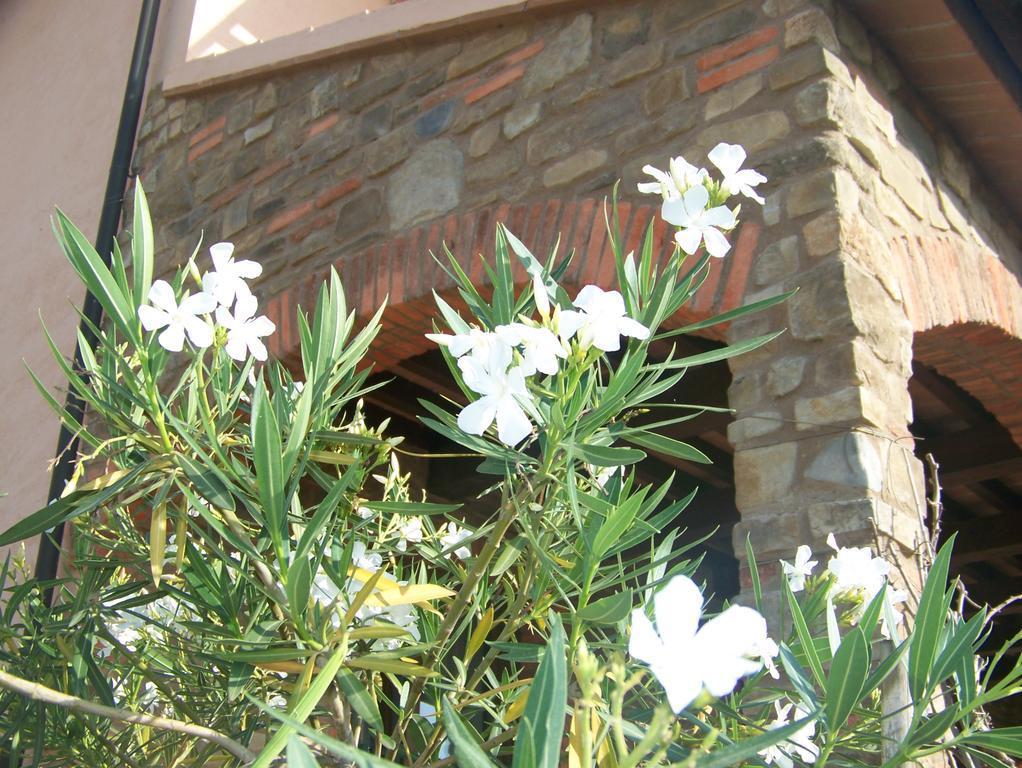 Agriturismo La Nocciolina Venturina Terme Extérieur photo